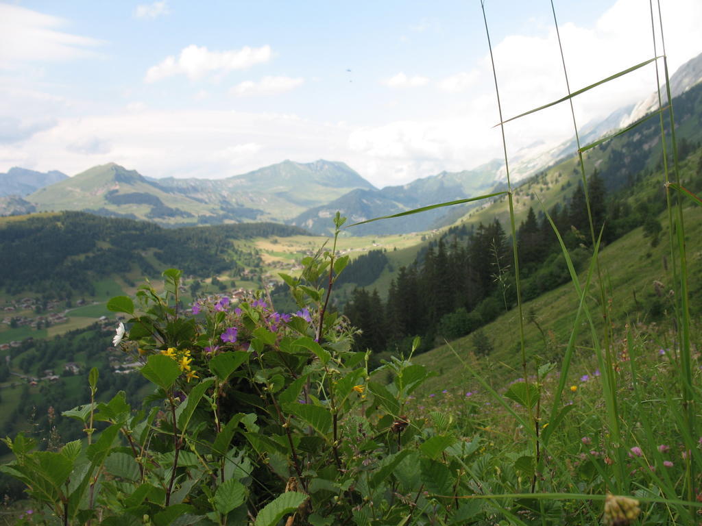 Hotel Bellachat Clusaz Zewnętrze zdjęcie