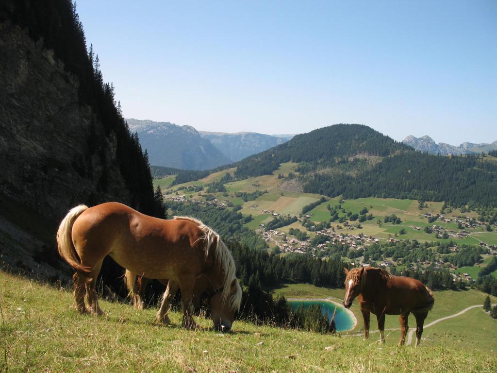 Hotel Bellachat Clusaz Zewnętrze zdjęcie